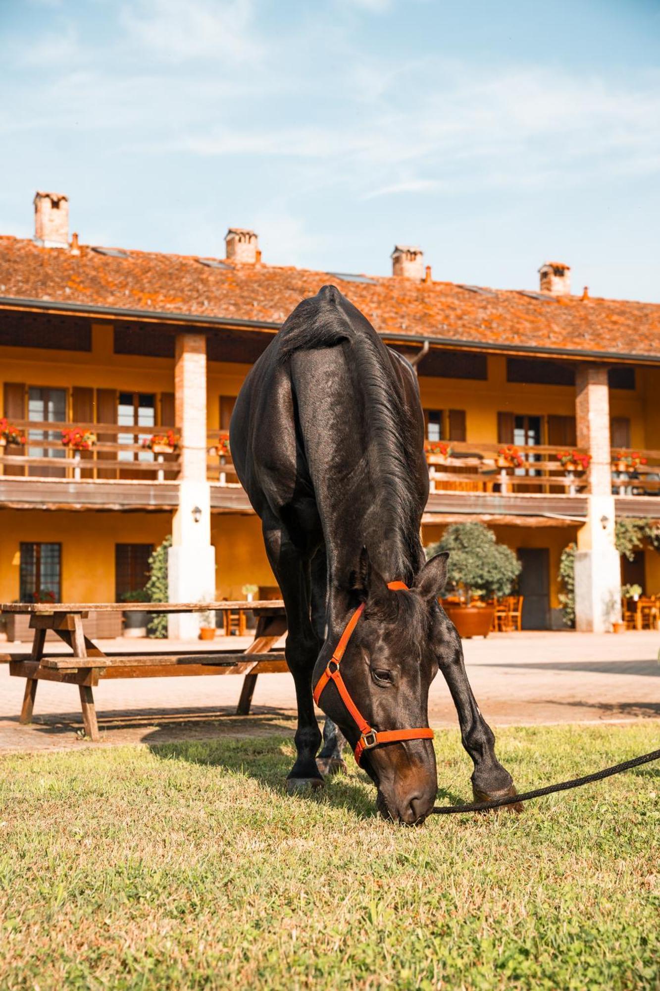 Agriturismo Bassanella Treviglio Εξωτερικό φωτογραφία
